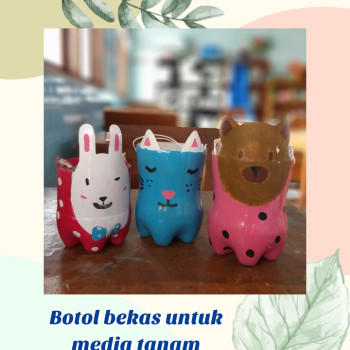 botol bekas untuk media tanam